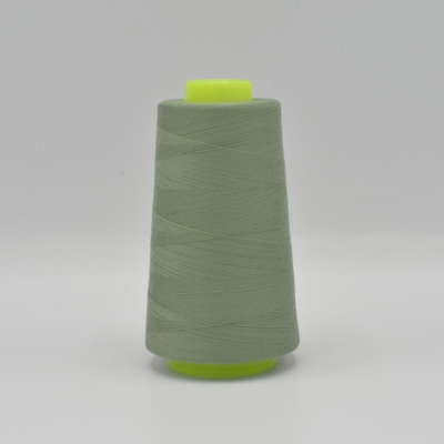 Lockgaren 210 (Dusty Mint)