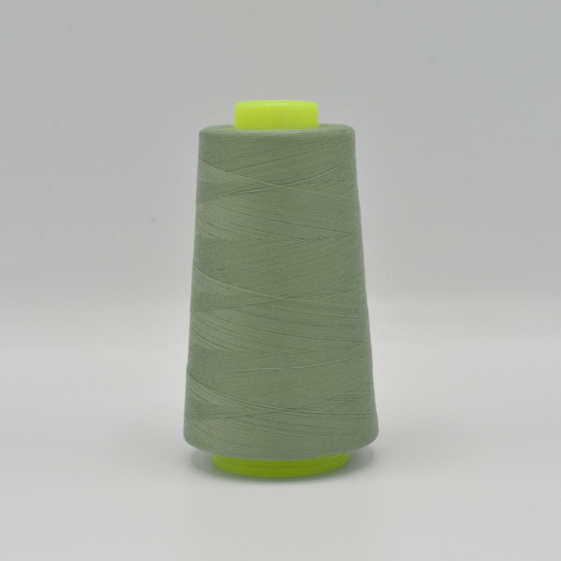 Lockgaren 210 (Dusty Mint)