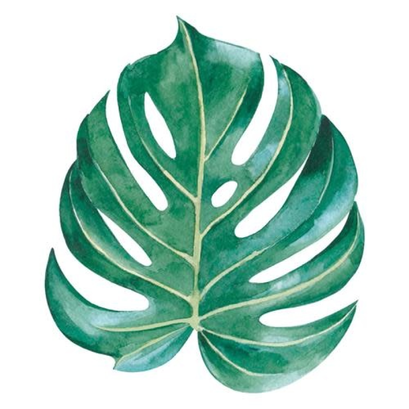 Applicatie botanisch blad L x B: 80mm x 67mm