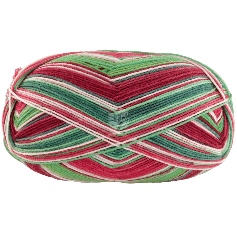 Merino Christmass - 6792