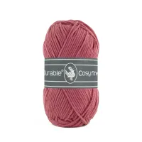 Raspberry 228