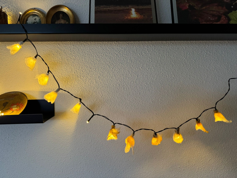viltworkshop Lichtslinger - zondag 22 november 13:00-15:30